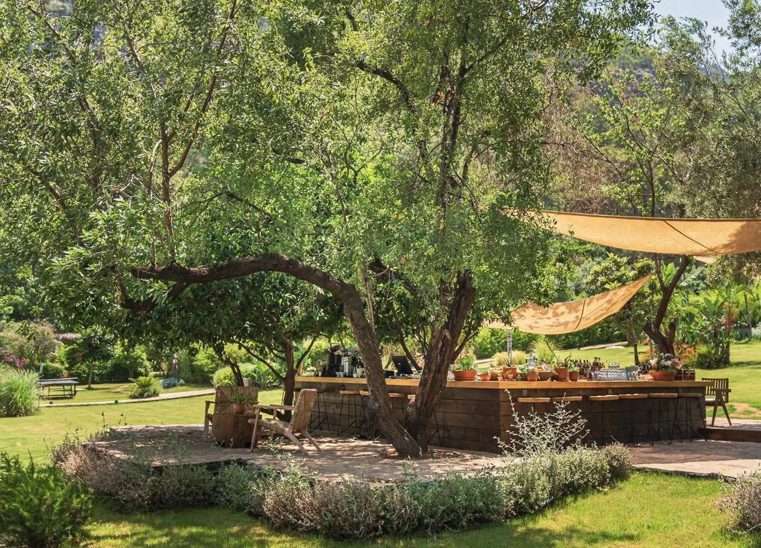 Yazz Collective Hotel Belen  Turkey